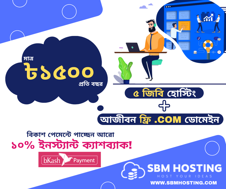 Domain Hosting Combo Package Bangladesh